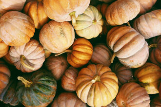 Pumpkins of different shapes and sizes