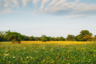 Photo of a field