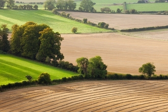 Photo of the Wiltshire countryside