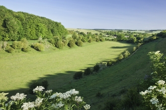 Coombe Bissett