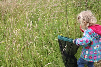Child on a bug hunt