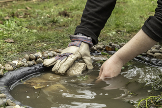 Pond creation