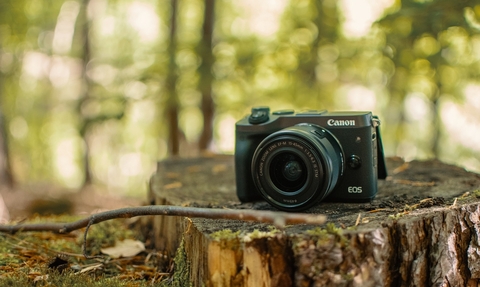 A camera on a log in the woods