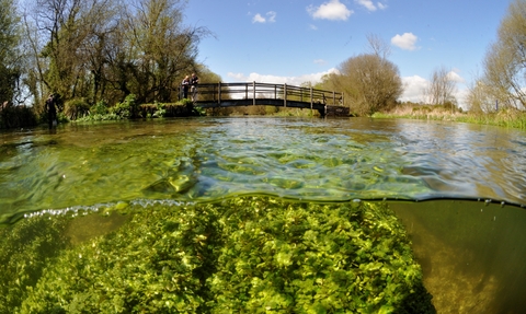 Chalk stream