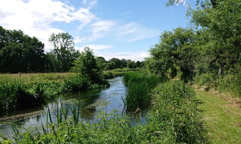 Wylye River