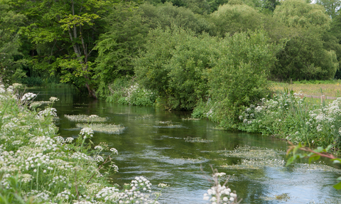 Chalk river