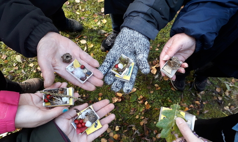 A circle of 6 hands holding items found in nature. 