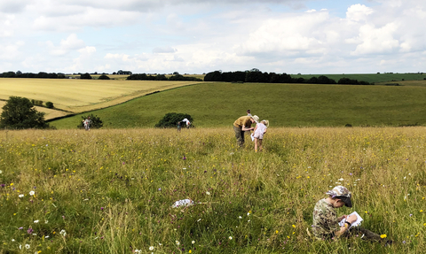 Families explore wildflower meadows