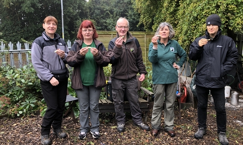 Swindon Wellbeing Allotment