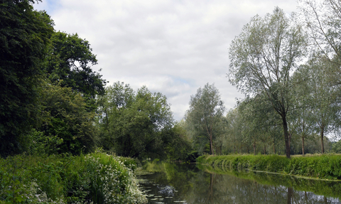Widbrook Woods Landscape Scene with River 