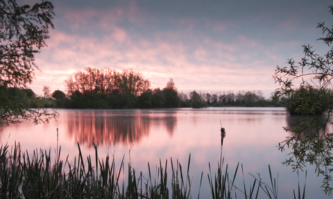 Lower Moor Farm Sunrise