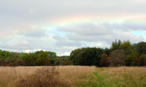 view of a meadow with faint rainbow in sky overhead