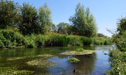 Clear River Wylye chalk stream with river weeds and pebbles