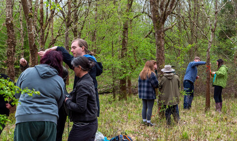 Groups stand around trees practising tying knots