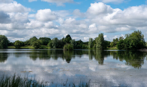 View over lake with trees reflecting and blue sky with clouds