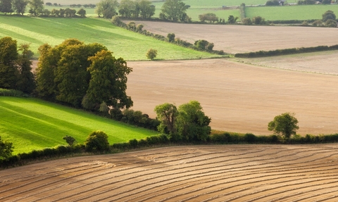 Photo of the Wiltshire countryside