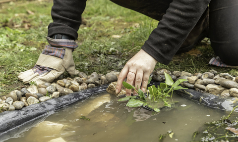 Pond creation