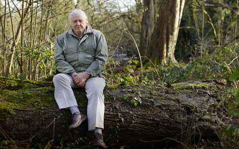 David Attenborough My Wild Life