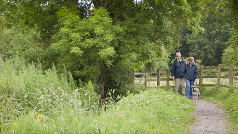 Walkers in Smallbrook Meadow