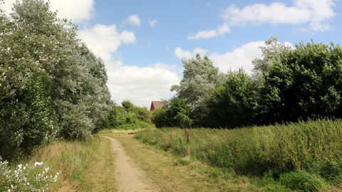 St Julians nature reserve