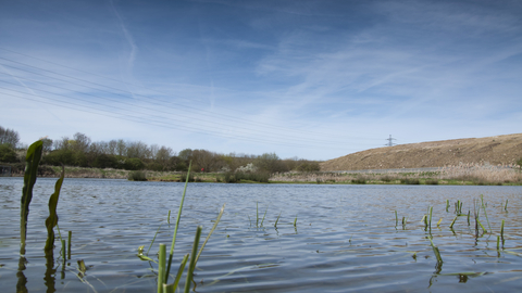 Swindon Lagoons