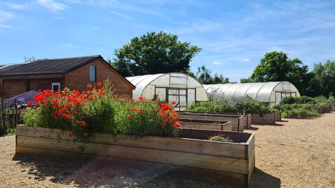 Care Farm on a sunny day