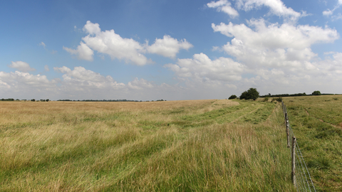 Blakehill hay making