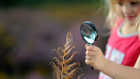 Magnifying Glass