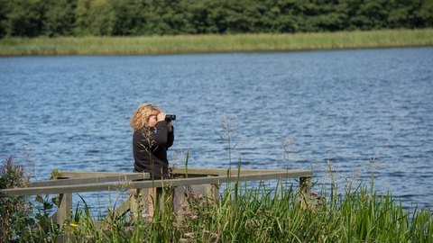 Bird Watching