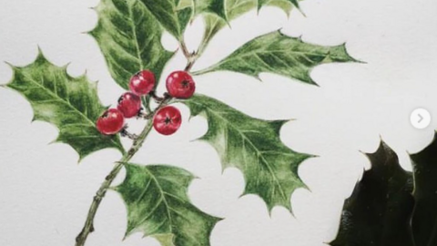 Holly Botanical Painting