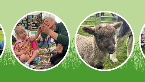 Country Comes to Town picture collage - 'hook a duck', children's craft, sheep, information