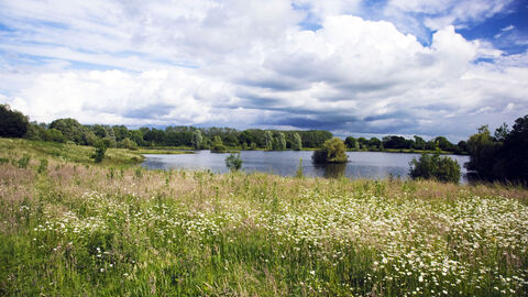 Lower Moor Farm Meadow and Lake