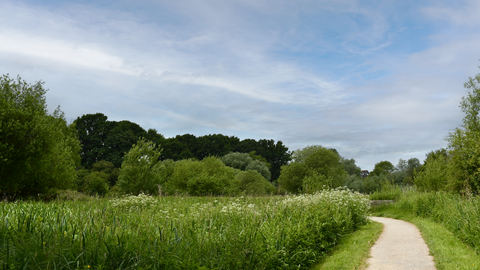 Smallbrook Meadows