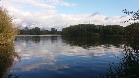 Coate Water