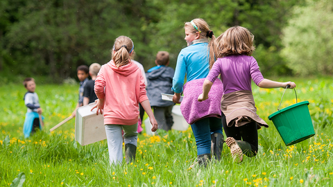 Family Events Kids in Landscape 