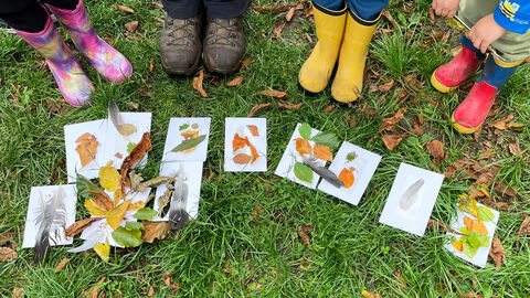 photo of children's feet in wellies around leaf pictures on the grass floor