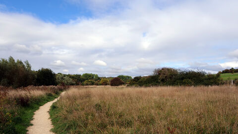 Path through long grass at Bay Meadows nature reserve with blue cloudy sky