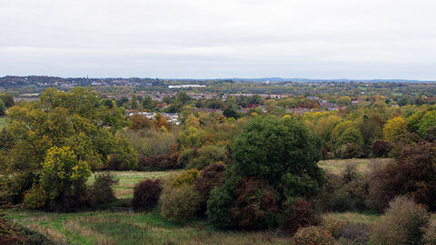 View of town across autumnal trees