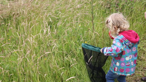 Child on a bug hunt
