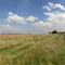 Blakehill hay making