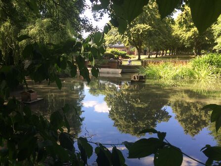 Trowbridge river
