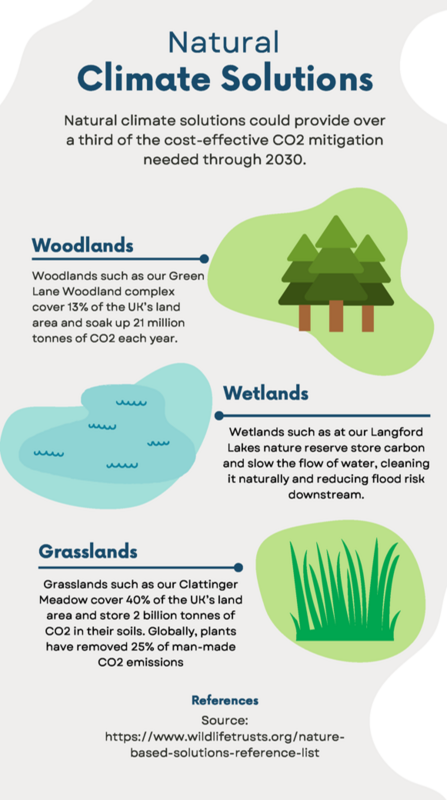 Natural Climate Solutions infographic