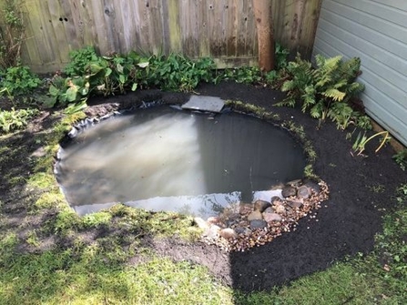 Pond filled with rainwater