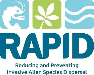 RAPID logo