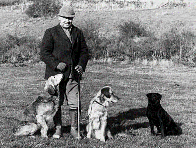 Photo of a farm worker and his dogs