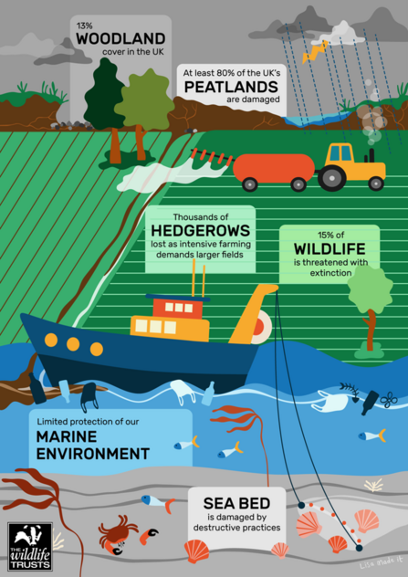 Infographic of the state of the environment today