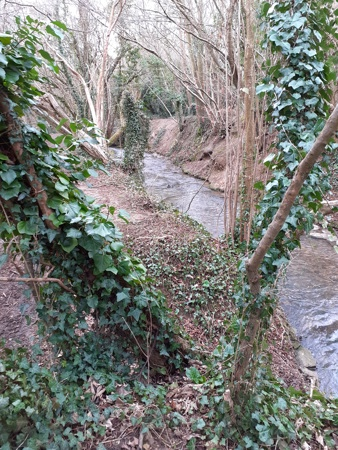 Hardenhuish brook