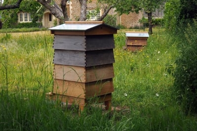 Beehives