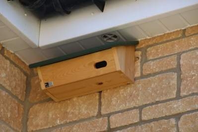 Nest box