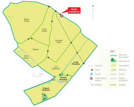 Map of Emmett Hill